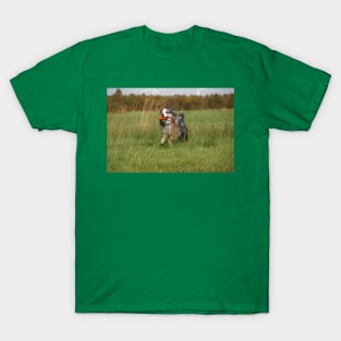 australian shepherd blue merle running with toy T-Shirt